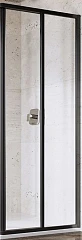 Душевая стенка с дверью Ravak Supernova SRV2-100 S 100*195 профиль черный, стекло Transparent