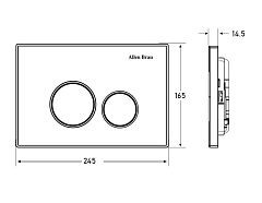 Кнопка смыва Allen Brau Priority 9.20001.BN пневмо, abs никель/хром