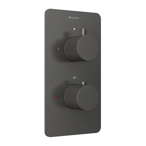 Термостат Aqueduto Aceno ACE0245 для ванны и душа скрытый монтаж на 2 потребителя оружейная сталь