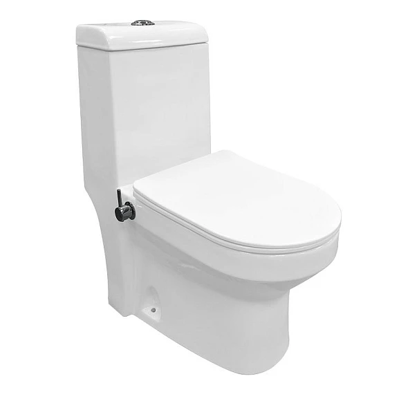 Унитаз-моноблок Azario Brusco 38*70 с функцией биде и встроенным смесителем, с крышкой-сиденьем микролифт