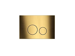 Панель смыва Aquatek KDI-0000038 титановое золото матовое