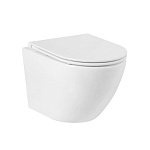 Подвесной унитаз BelBagno Sfera-R BB046CHR/BB870SC 35,5*49 безободковый с крышкой-сиденьем микролифт Подвесной унитаз BelBagno Sfera-R BB046CHR/BB870SC 35,5*49 безободковый с крышкой-сиденьем микролифт